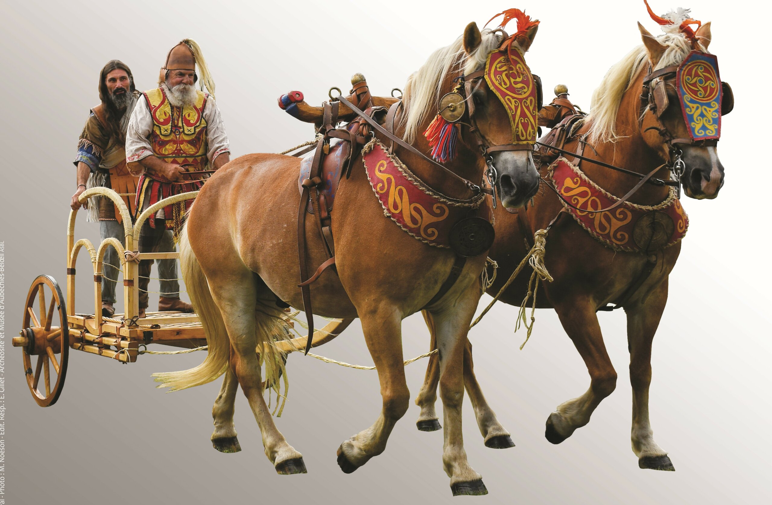 Exposition Cheval, Char et Cavalier à l’époque celtique