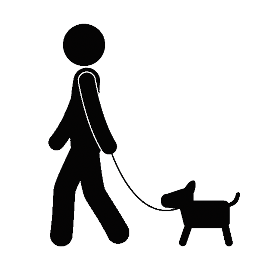 chien en laisse png